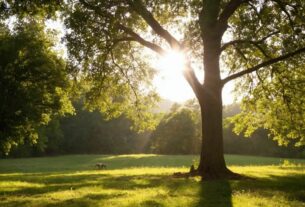 12:12 Bedeutung in der Bibel