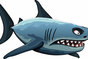 shark, jaw, teeth, predator, to fall, dangerous, white shark, anger, shark, shark, shark, shark, shark
