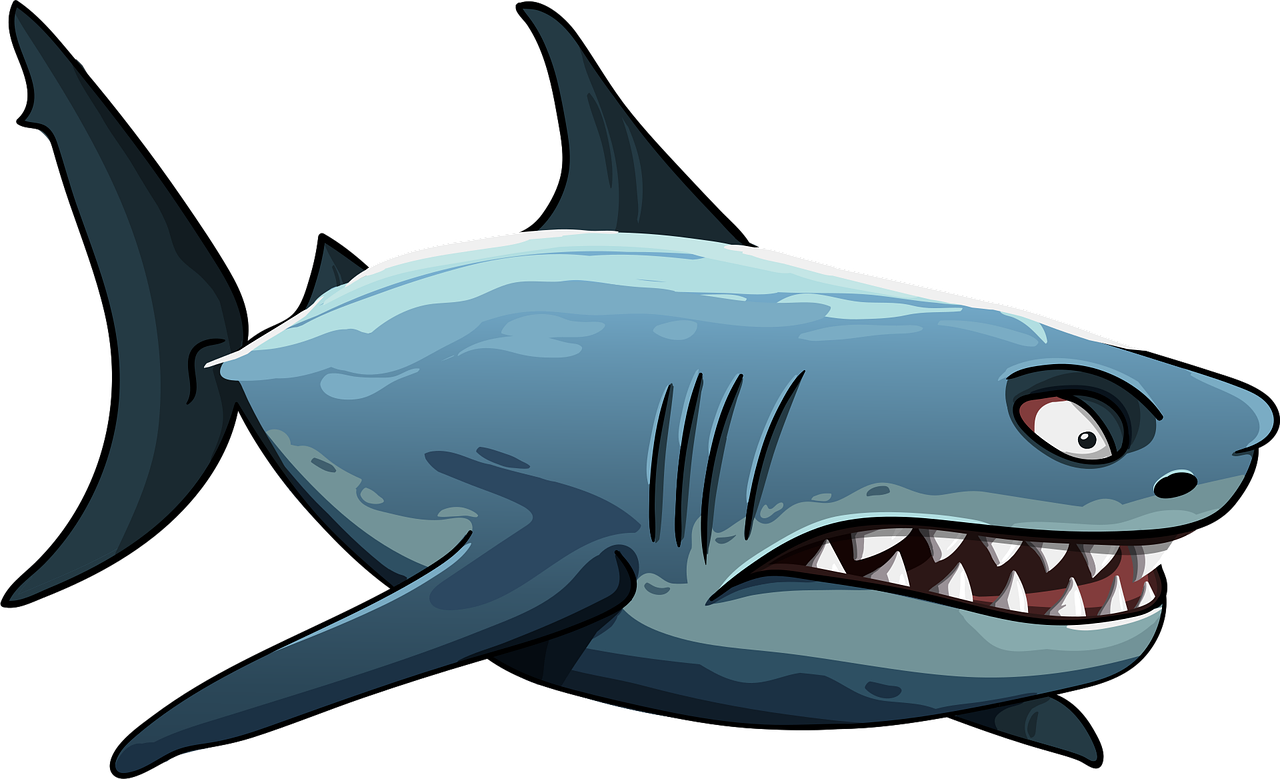 shark, jaw, teeth, predator, to fall, dangerous, white shark, anger, shark, shark, shark, shark, shark